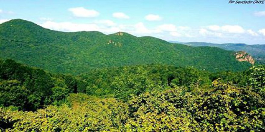 Kumru Ballık Köyü Resimleri