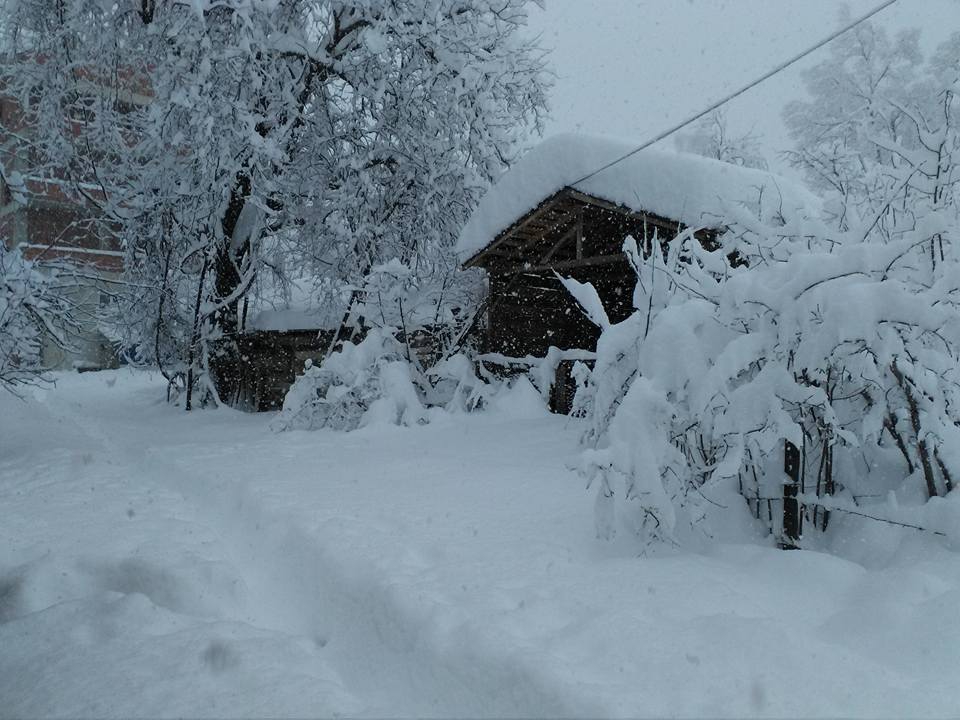 Kumru Demircili Köyü Resimleri 1