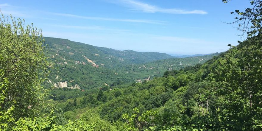 Kumru Demircili Köyü Resimleri