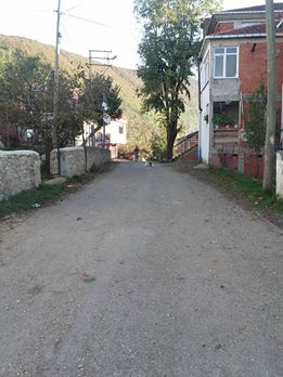 Kumru Derbent Köyü Resimleri 4