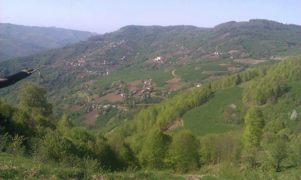 Kumru Divanıtürk Köyü Resimleri 1