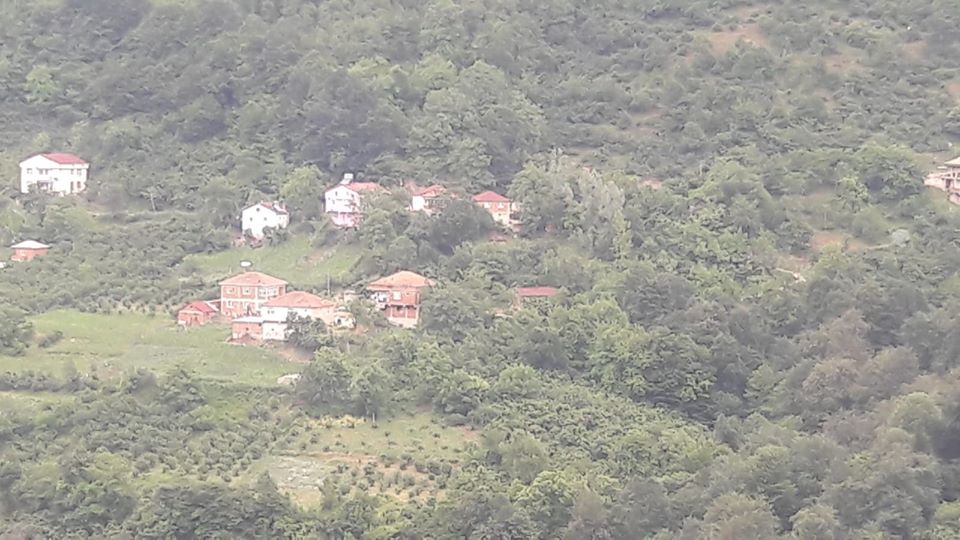 Kumru Divanıtürk Köyü Resimleri 4