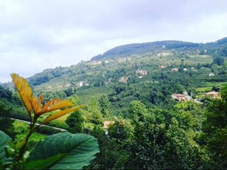 Kumru Duman Köyü Resimleri 4