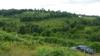 Kumru Erikçeli Köyü Resimleri 5