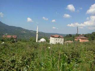 Kumru Erikçeli Köyü Resimleri 6