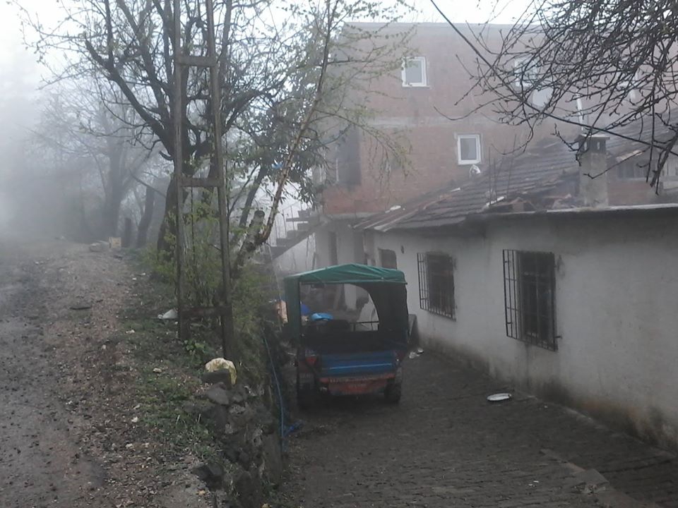 Kumru Erikçeli Köyü Resimleri 7