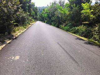 Kumru Esence Köyü Resimleri 2