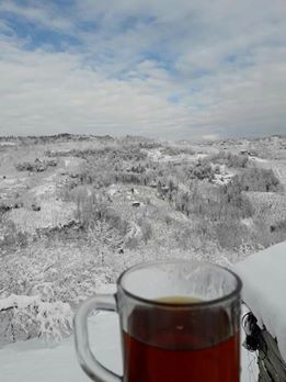 Kumru Esence Köyü Resimleri 3