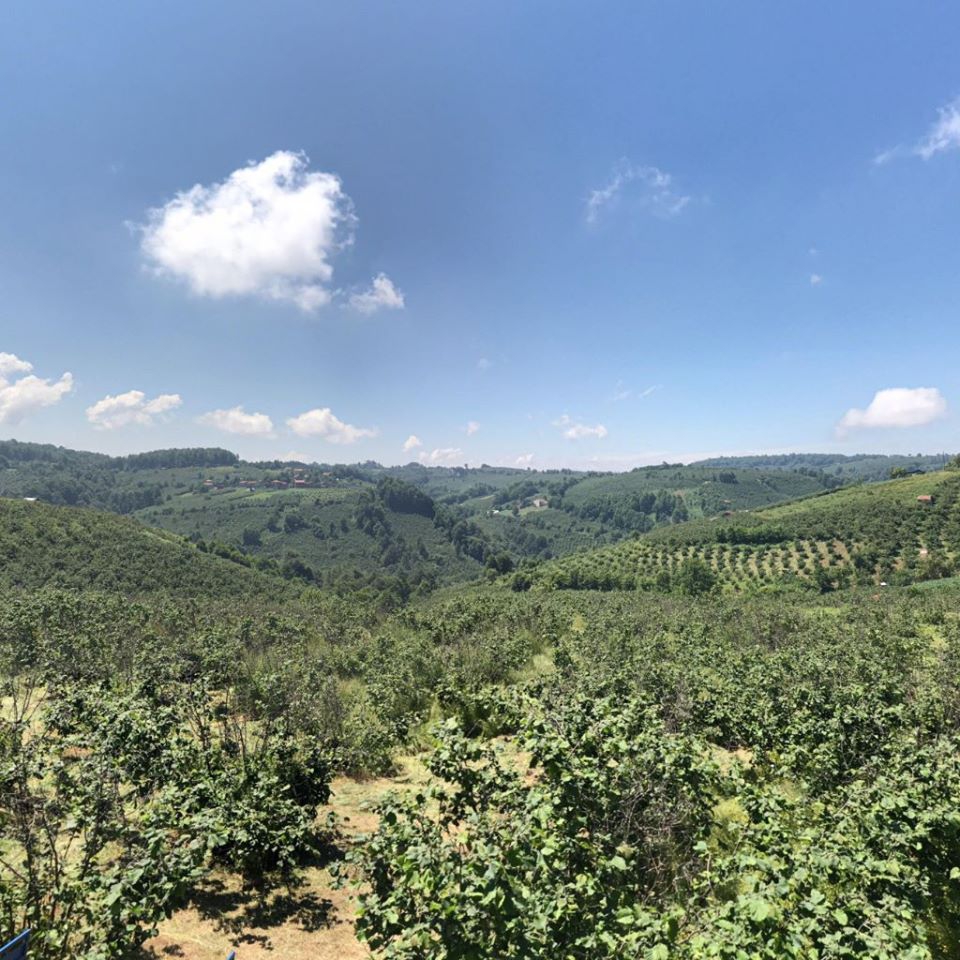 Kumru Fizme Köyü Resimleri 4