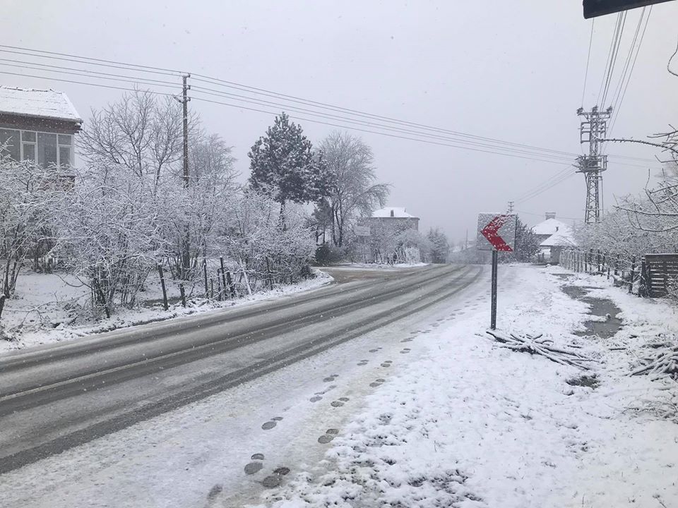 Kumru Fizme Köyü Resimleri 6