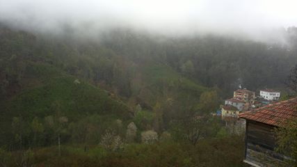 Kumru Güneycik Köyü Resimleri 2