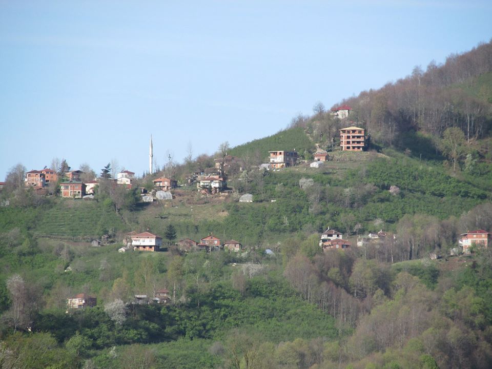 Kumru Güneycik Köyü Resimleri 4