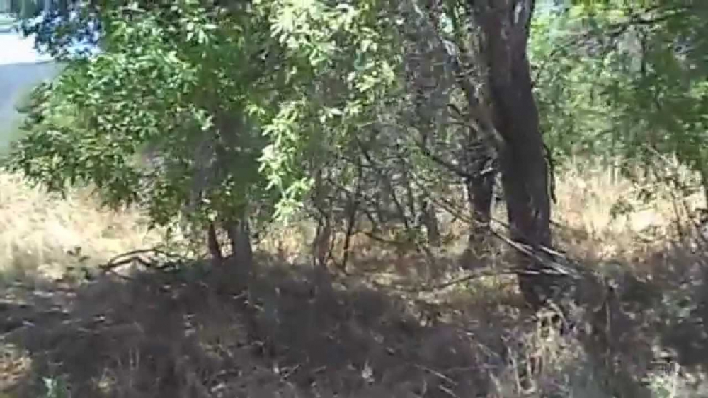 Keçiborlu Kaplanlı Köyü Resimleri 2