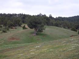 Keçiborlu Kaplanlı Köyü Resimleri 6