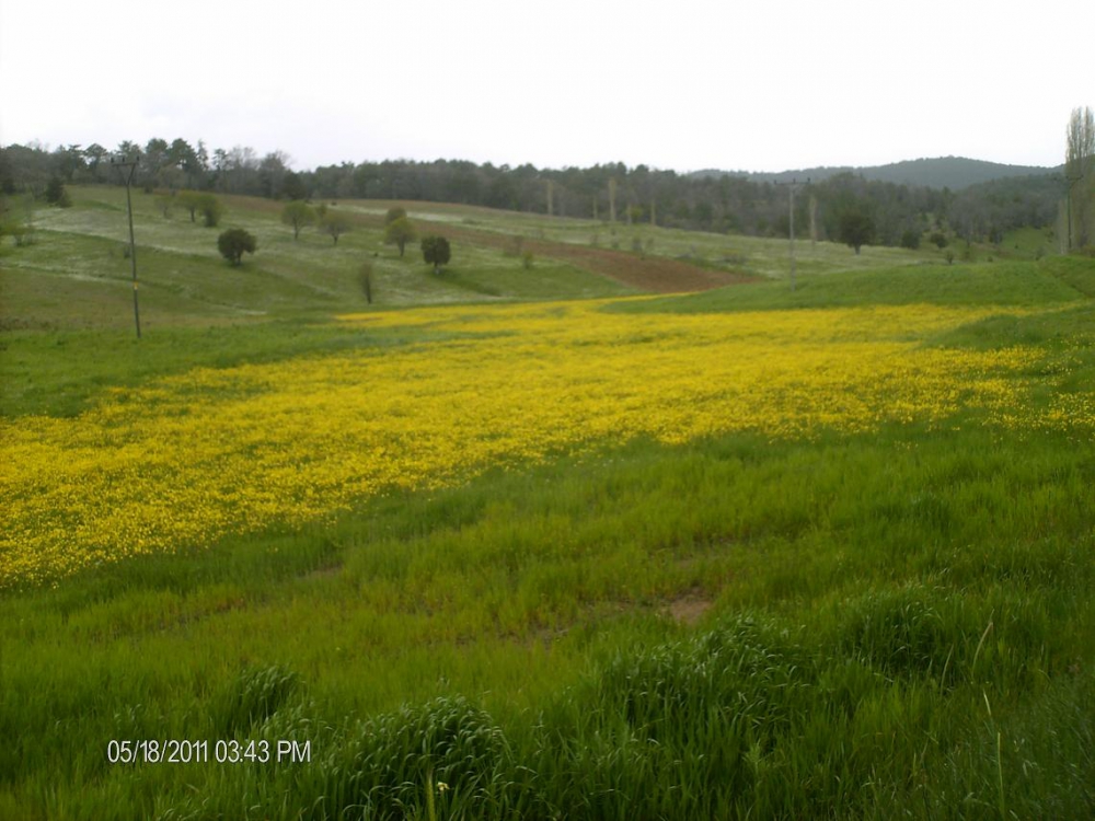 Keçiborlu Kavak Köyü Resimleri 1