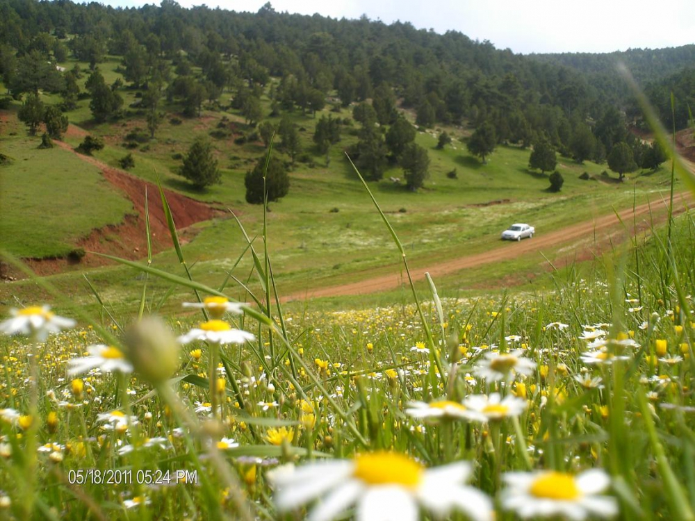 Keçiborlu Kavak Köyü Resimleri 3