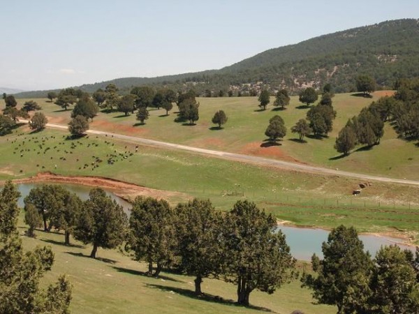 Keçiborlu Kozluca Köyü Resimleri 7