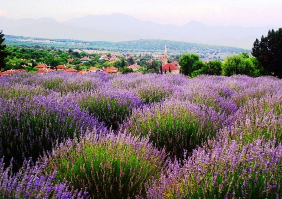Keçiborlu Kuyucak Köyü Resimleri 1