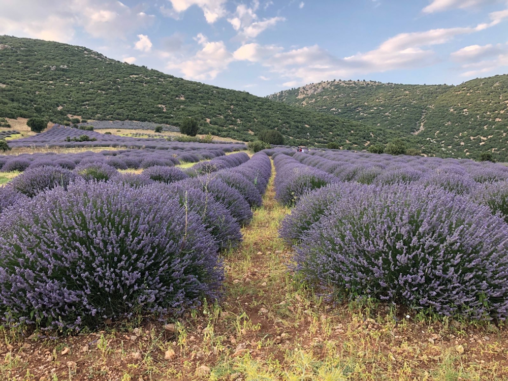Keçiborlu Kuyucak Köyü Resimleri 2