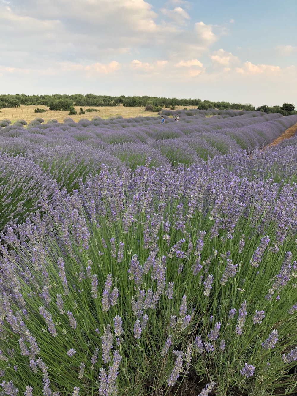Keçiborlu Kuyucak Köyü Resimleri 5