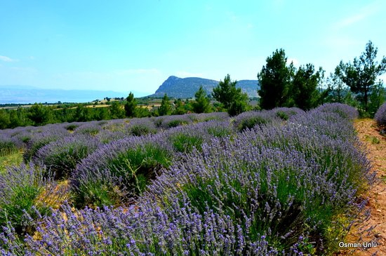 Keçiborlu Kuyucak Köyü Resimleri 7