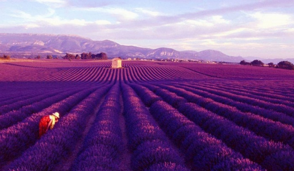 Keçiborlu Kuyucak Köyü Resimleri 8