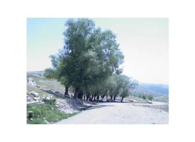 Keçiborlu Özbahçe Köyü Resimleri 11