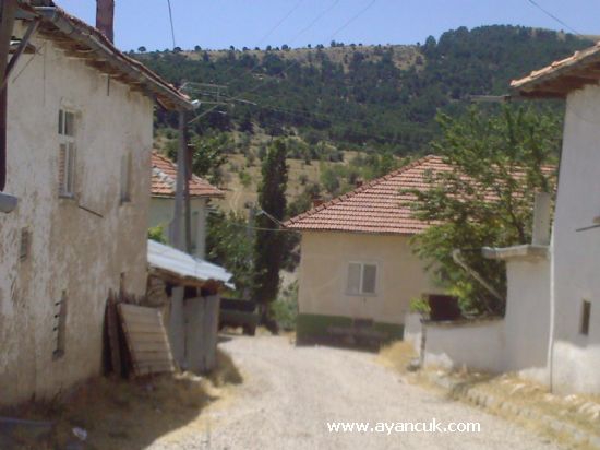Keçiborlu Özbahçe Köyü Resimleri 6