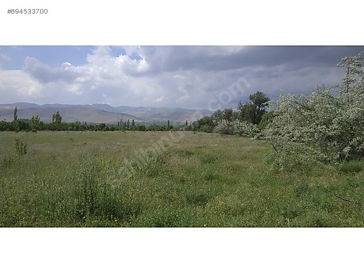 Senirkent Ortayazı Köyü Resimleri 4