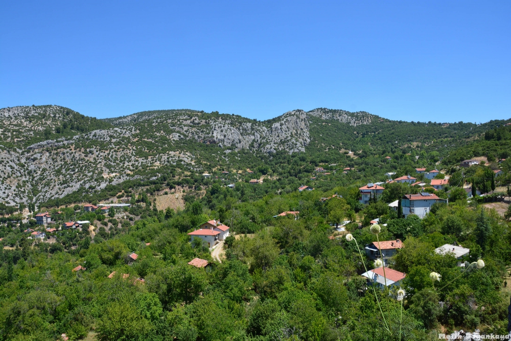 Sütçüler Aşağıyaylabel Köyü Resimleri 3