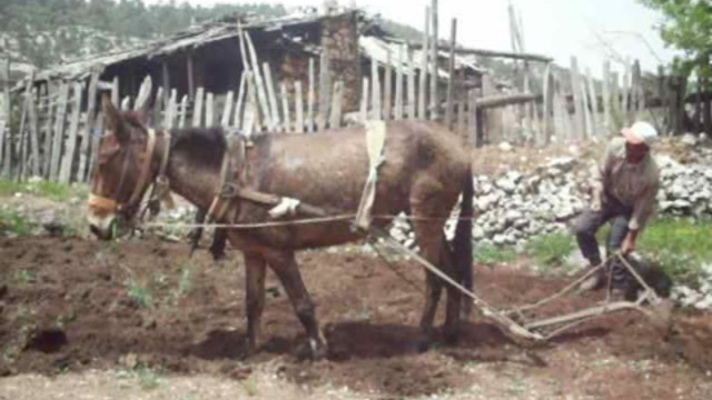 Sütçüler Bekirağalar Köyü Resimleri 5