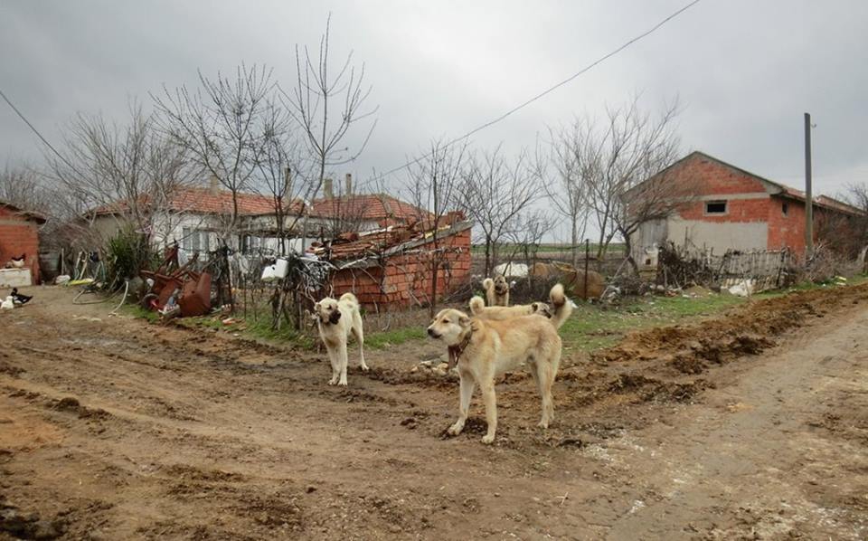 Keşan Akçeşme Köyü Resimleri 10