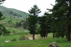 Sütçüler Melikler Köyü Resimleri 5