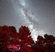 Sütçüler Melikler Köyü Resimleri 9