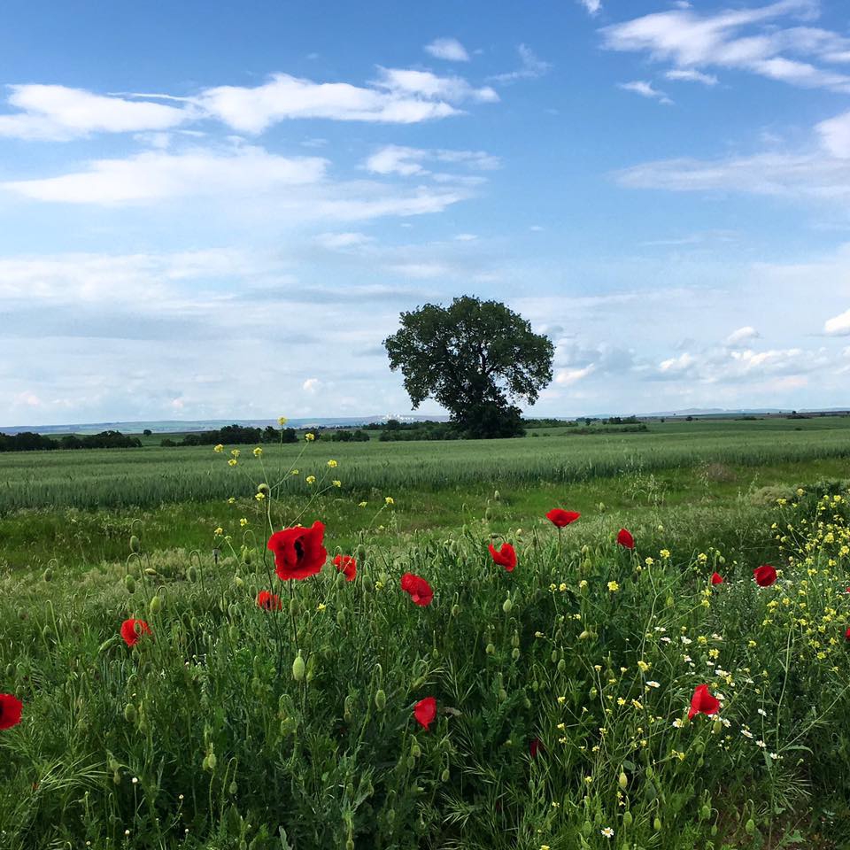 Keşan Büyükdoğanca Köyü Resimleri 6