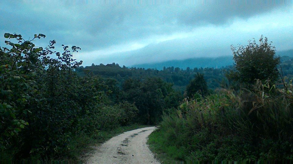 Kumru Kadıncık Köyü Resimleri 1