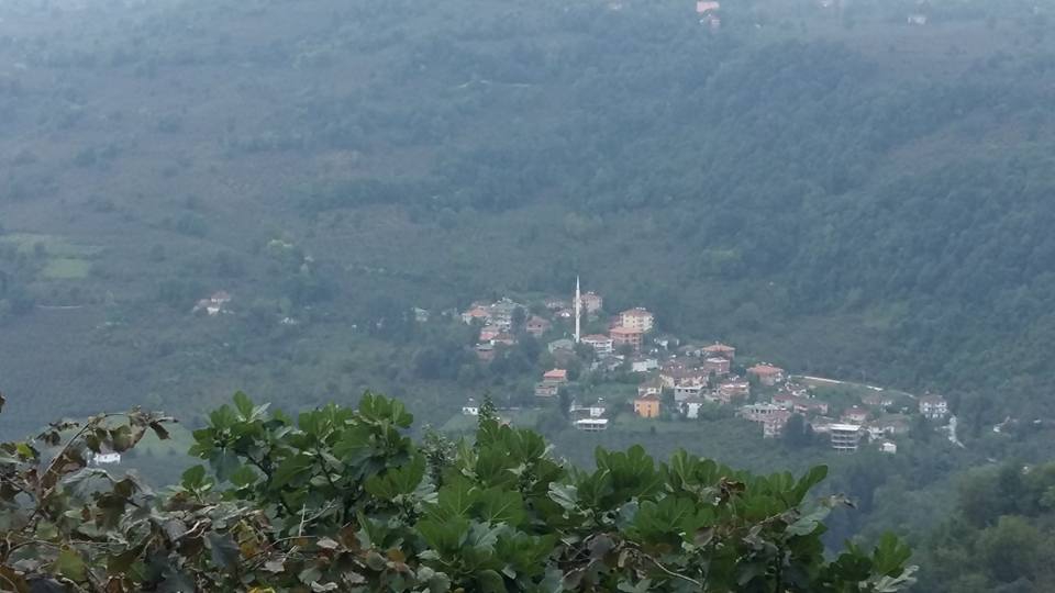 Kumru Karaağaç Köyü Resimleri 1