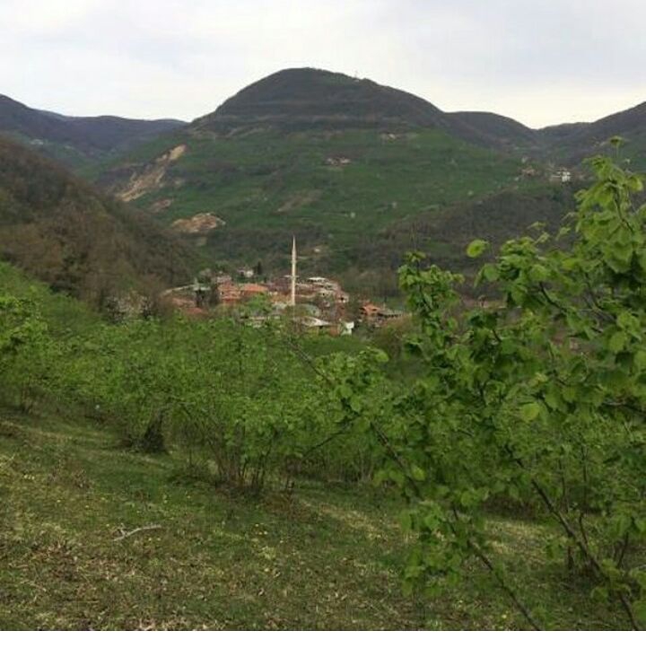Kumru Karaağaç Köyü Resimleri 3