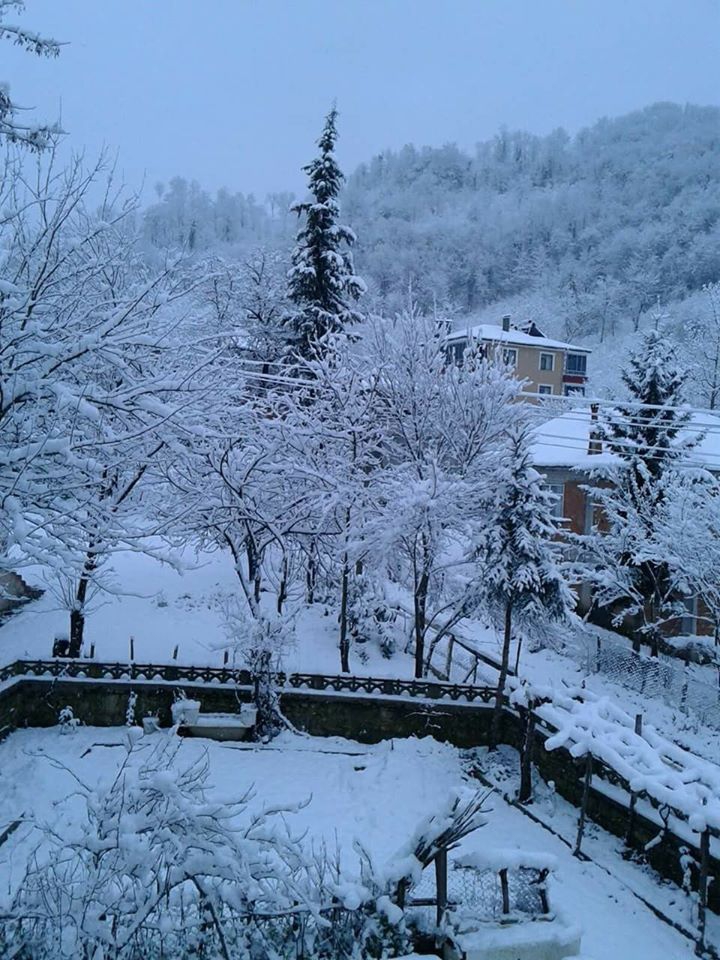 Kumru Karaağaç Köyü Resimleri 4