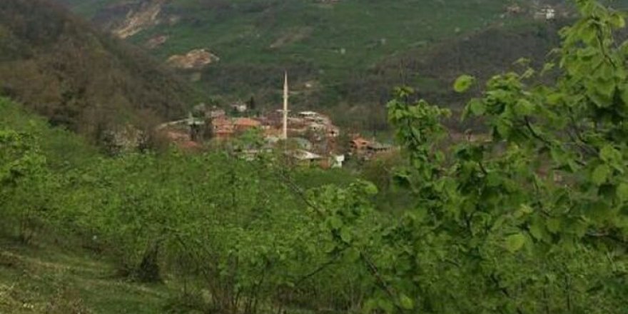 Kumru Karaağaç Köyü Resimleri