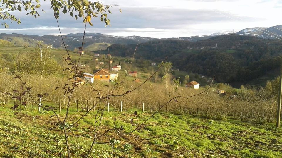 Kumru Karacalar Köyü Resimleri 6