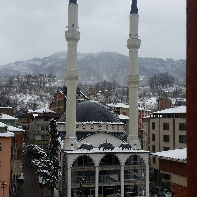 Kumru Karacalı Köyü Resimleri 1