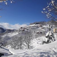 Kumru Kayabaşı Köyü Resimleri 11