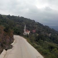 Kumru Kayabaşı Köyü Resimleri 4