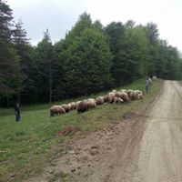 Kumru Kayabaşı Köyü Resimleri 5