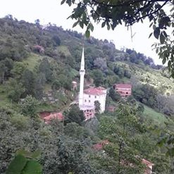 Kumru Kayabaşı Köyü Resimleri 9