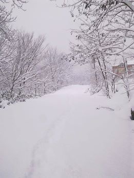 Kumru Kovancılı Köyü Resimleri 1