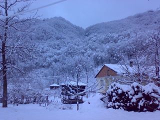 Kumru Kovancılı Köyü Resimleri 2