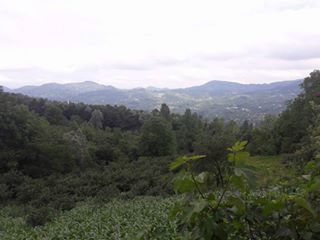 Kumru Kovancılı Köyü Resimleri 6