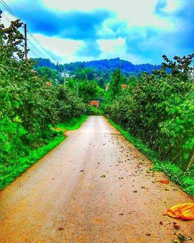 Kumru Küçükakçakese Köyü Resimleri 1
